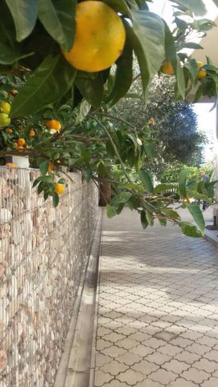 Residence Bella Budva Kültér fotó